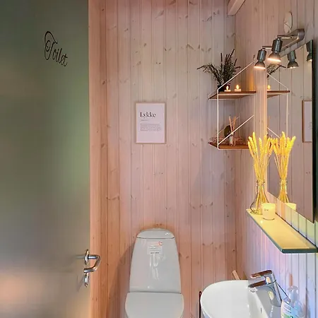 Amazing Home In Otterup With Sauna Otterup